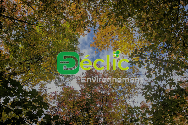 Le Déclic Environnement, un accompagnement à la transition écologique Le Déclic Environnement, un accompagnement à la transition écologique