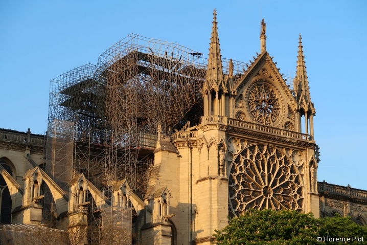 échafaudage de notre dame de paris