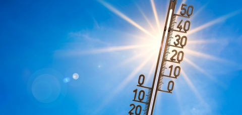 Canicule précautions